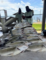 Fishing in Sardis, Mississippi