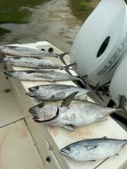 Fishing in Aguadilla, Puerto Rico