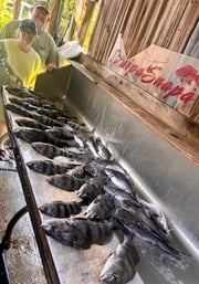 Fishing in D'Iberville, Mississippi