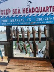 Fishing in Port Aransas, Texas