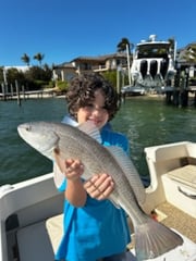 Fishing in Sarasota, Florida