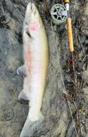 Rainbow Trout Fishing in Conneaut, Ohio