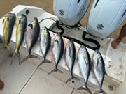 Fishing in Aguadilla, Puerto Rico