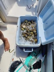 Hunting in Clearwater, Florida