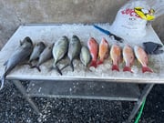 Fishing in Port Orange, Florida