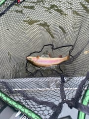 Fishing in Florence, Oregon