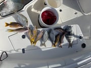 Fishing in Key Largo, Florida
