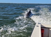 Fishing in Boca Grande, Florida
