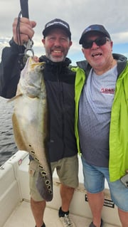 Fishing in Delray Beach, Florida