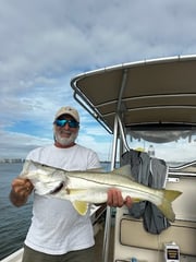 Fishing in Sarasota, Florida