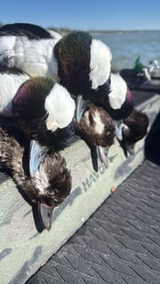 Hunting in Santa Rosa Beach, Florida
