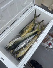Fishing in Pompano Beach, Florida