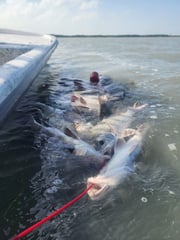 Fishing in Port Isabel, Texas