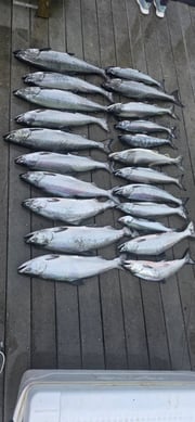 Fishing in Newaygo, Michigan