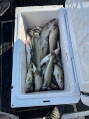 Fishing in Conneaut, Ohio