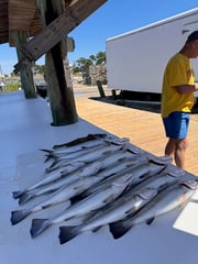 Fishing in Gulf Shores, Alabama
