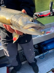 Fishing in Snohomish, Washington