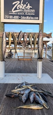 Fishing in Orange Beach, Alabama