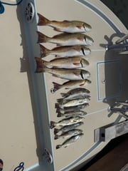 Fishing in South Padre Island, Texas