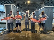 Fishing in Galveston, Texas