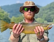 Brown Trout fishing in Knoxville, Tennessee