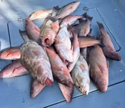 Fishing in Naples, Florida