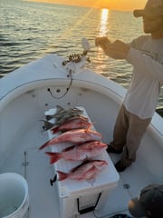 Fishing in Gulf Shores, Alabama