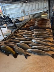 Fishing in Venice, Louisiana