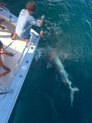 Fishing in Santa Rosa Beach, Florida