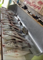 Fishing in D'Iberville, Mississippi