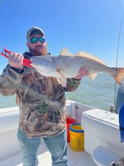 Sheepshead fishing in Galveston, Texas
