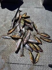 Fishing in Mattawa, Washington