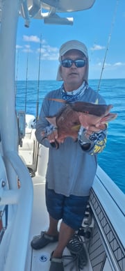 Fishing in Sarasota, Florida