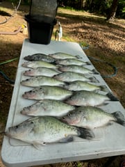 Fishing in Oxford, Mississippi