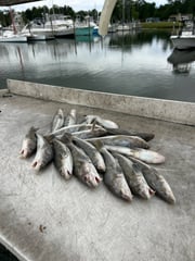 Fishing in Beaufort, North Carolina