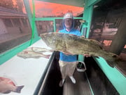Fishing in Yankeetown, Florida