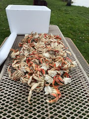 Hunting in Garibaldi, Oregon