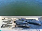 Fishing in Boca Grande, Florida