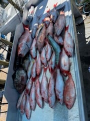 Fishing in Panama City, Florida