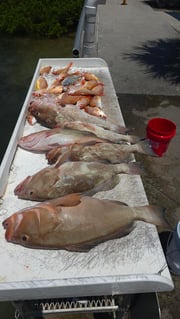 Fishing in Clearwater, Florida