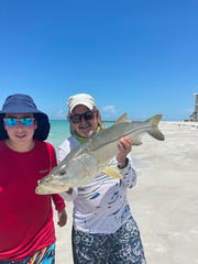 Fishing in Sarasota, Florida