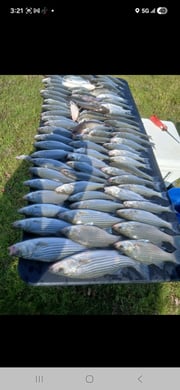 Fishing in Kingston, Oklahoma