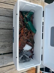 Fishing in Beaufort, North Carolina