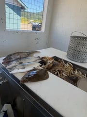 Fishing in Garibaldi, Oregon