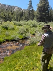Fishing in Bishop, California