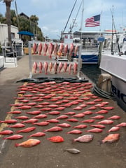 Fishing in Panama City Beach, Florida