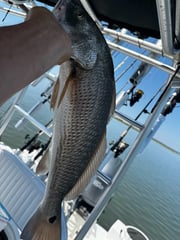 Fishing in Emerald Isle, North Carolina