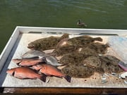 Fishing in Largo, Florida
