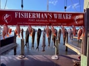 Fishing in Port Aransas, Texas