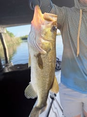 Fishing in Weston, Florida